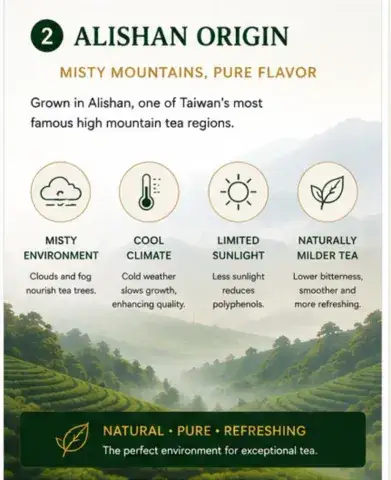 Elite Golden Oolong Tea Authentic Taiwanese Tea Wholesale tea suppliers for business use