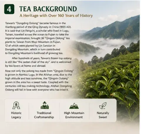 Premium Dong Ding Oolong Tea Authentic Taiwanese Tea Wholesale tea suppliers for business use