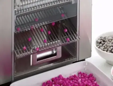 PG150 AUTOMATIC TAPIOCA PEARLS FORMING MACHINE