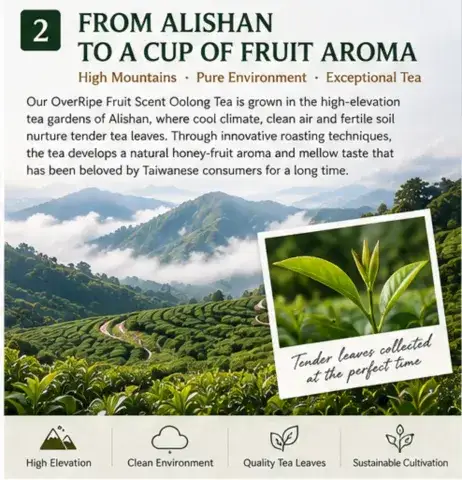 Deluxe OverRipe Fruit Scent Oolong Tea Authentic Taiwanese Tea Wholesale tea suppliers for business use