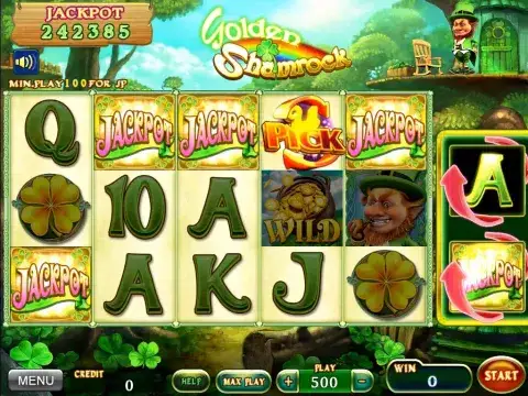 Professional casino liner games by IGS
