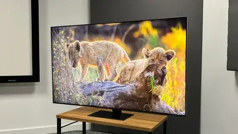 Curved Screen 100 TV OLED Television 4K Smart TV Digital Wide Screen Support TV