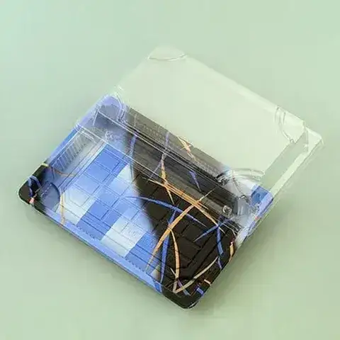 Disposable Sushi Containers
