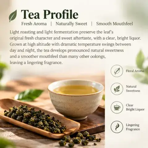 Taiwan Dayuling High Mountain Oolong Tea: Hand-Crafted, Limited Harvest, Wholesale Ready