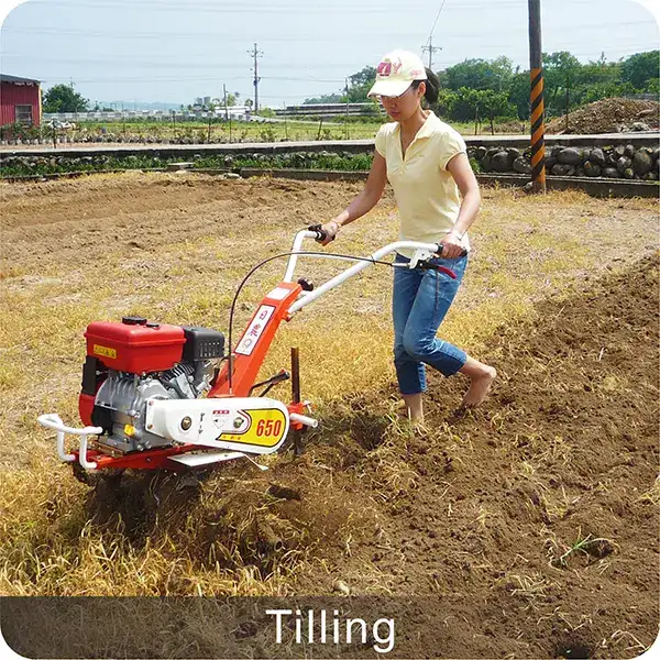 Agricultural Cultivator Farm Tractor 650N Type