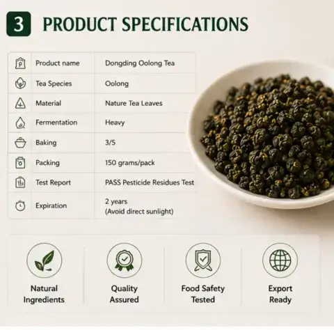 Premium Dong Ding Oolong Tea Authentic Taiwanese Tea Wholesale tea suppliers for business use