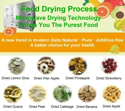 Food Drying Process_Microwave Vacuum Drying System