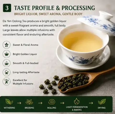 Premium Alishan Da Yen Oolong Tea From Eastern Taiwan