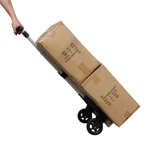 H-0036