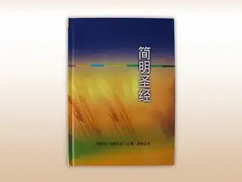 Bibles